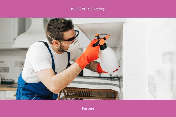 PEST CONTROL Bamberg